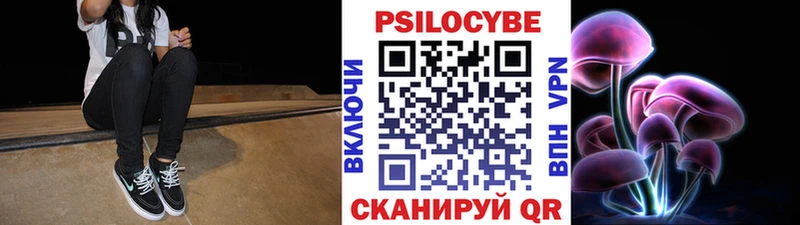 Псилоцибиновые грибы MAGIC MUSHROOMS  Купить где  Ковылкино 